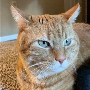 Meet your Posher, Evan